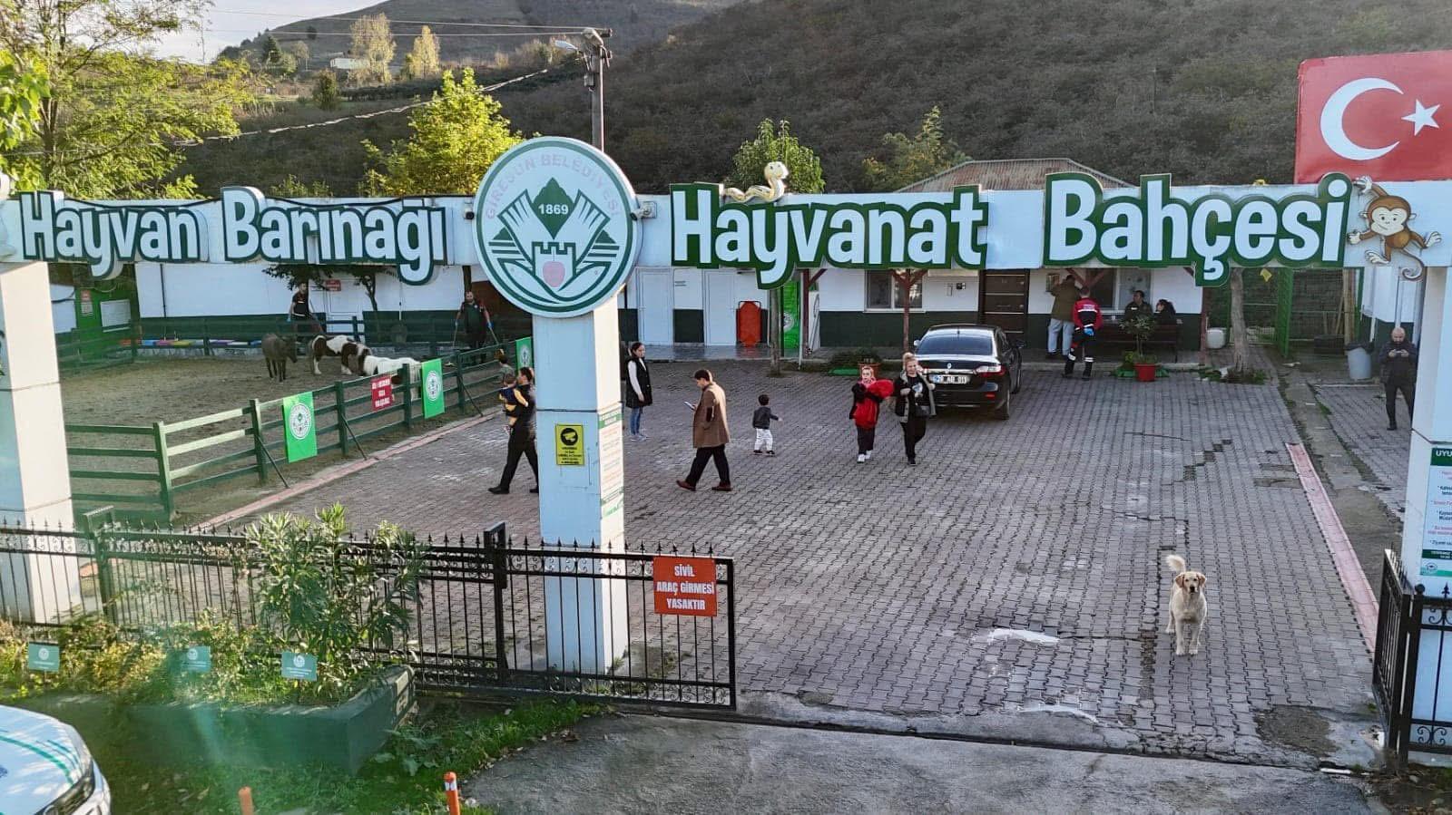 Giresun Belediyesi Veteriner İşleri