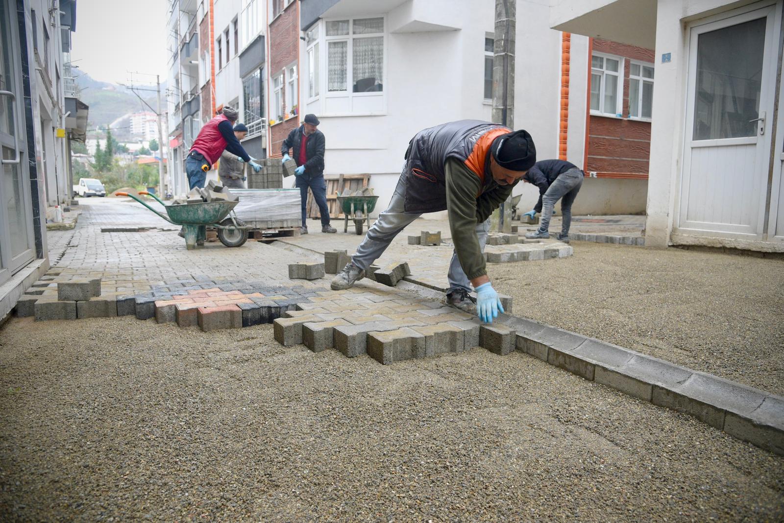 Teyyaredüzü Mahallesi Tarım Sokak