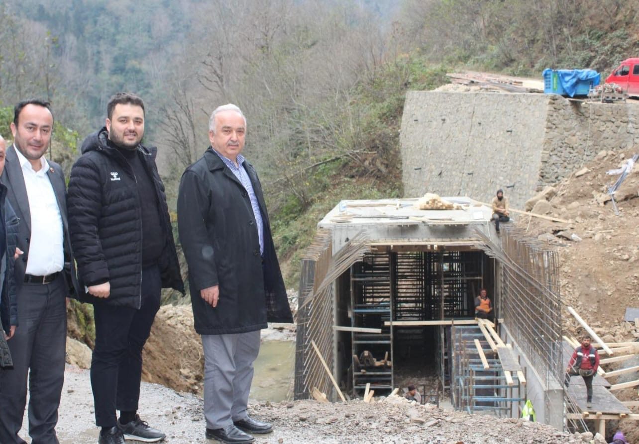 Ali Temür Espiye Ericek 