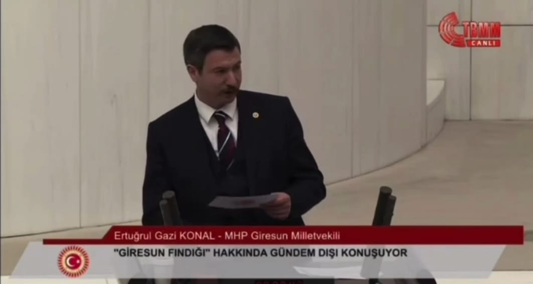 Gazi Konal fındık fiyatları