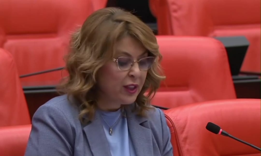 Elvan Işık Gezmiş Sekü