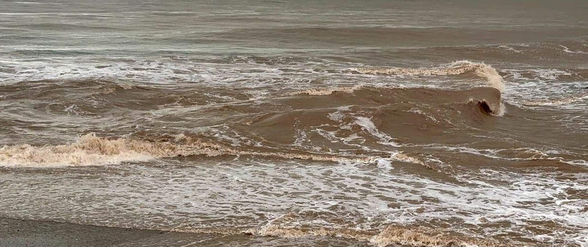 Giresun Sahilleri Kahverengiye Döndü