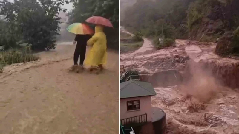 Giresun’da etkili olan yağış