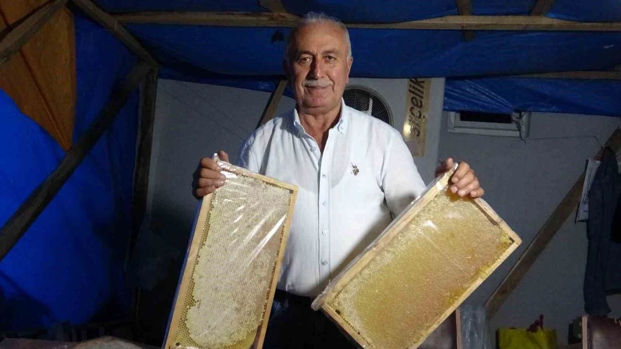 Çamoluk Bal Festivali